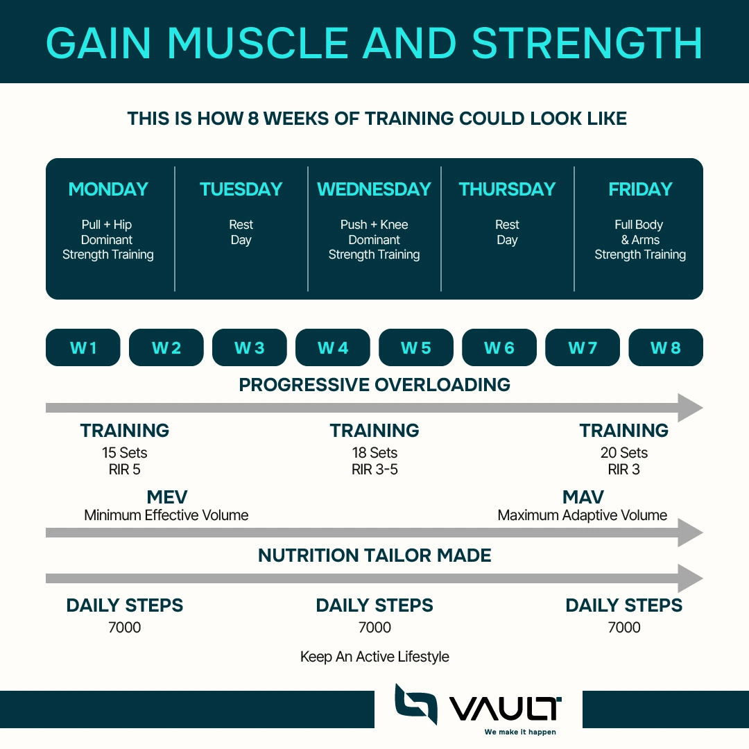 Strength Building Program Muscle building and strength training – VAULT Training Zürich